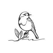 Robinskizze Schwarzweißillustration Stock Vektor Art und mehr Bilder von  Vogel - Vogel, Lineart, Rotkehlchen - iStock